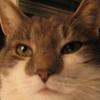 SMOKEYSPAL