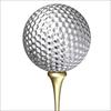 Silverslugger
