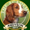 andyson