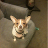 THANK YOU FOR A WALL OF A GOOD TIME (5 pages of GR8 posts ) - Page 5 U4382676_20180704_105514.jpg?0.111.6926