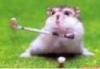 fairwaybaby