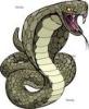Snaike