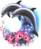 Dolphin0276