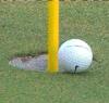 tigertracker10