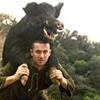 pigkiller