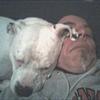 cindythepitbull