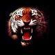 TigerGreen68