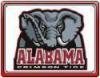 bamasteve64