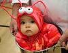 Lobstergirl
