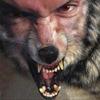 txgreywolf